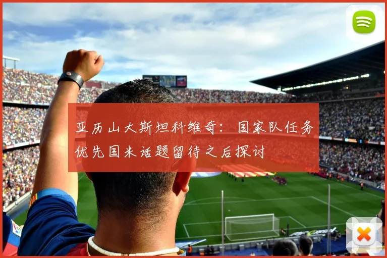 亚历山大斯坦科维奇：国家队任务优先国米话题留待之后探讨